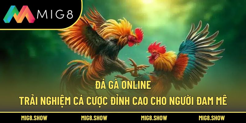 Đá Gà Online – Trải Nghiệm Cá Cược Đỉnh Cao Cho Người Đam Mê