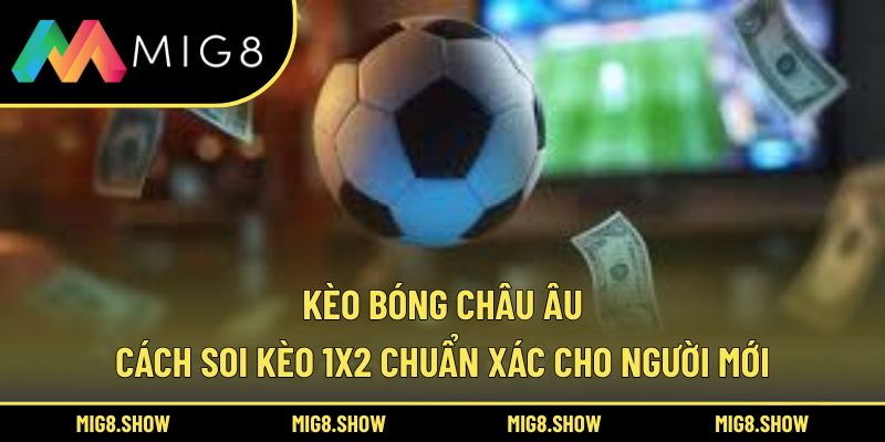 Kèo Bóng Châu Âu – Cách Soi Kèo 1x2 Chuẩn Xác Cho Người Mới