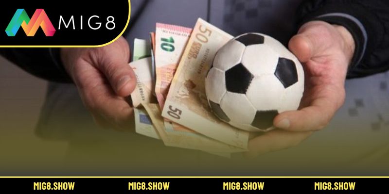 Mẹo soi kèo chuẩn xác giúp nâng cao hiệu suất thắng cược