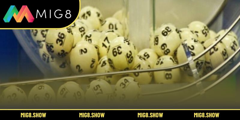 Những lỗi thường gặp khi nuôi lô khung