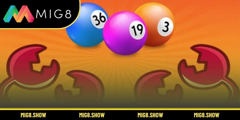 Tổng quan chi tiết về phương pháp nuôi lô khung