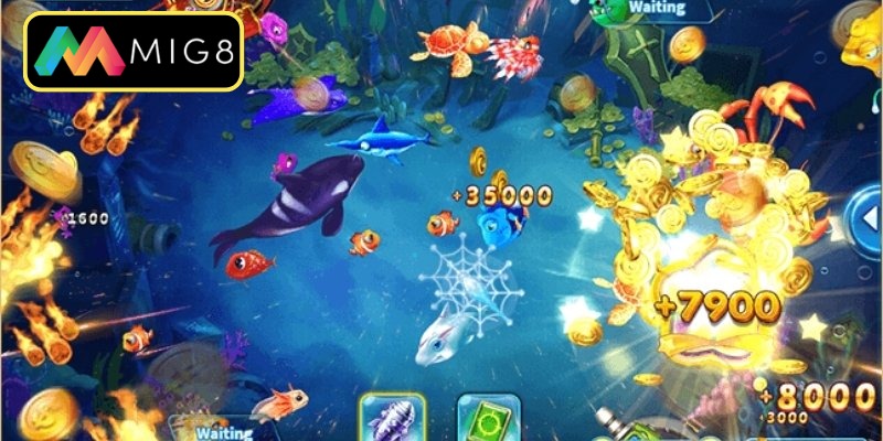 Những ưu điểm vượt trội thu hút các ngư thủ