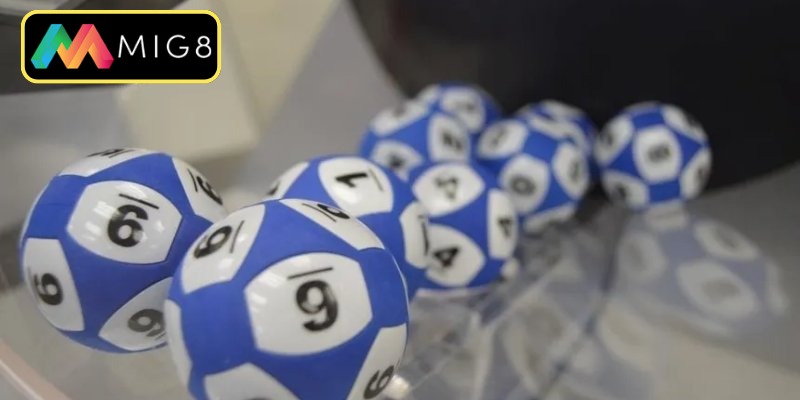 Tìm hiểu tường tận về hình thức bao lô miền Nam